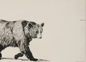 ink drawing of a bear followed by two bear cubs
