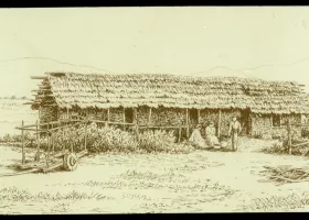 drawing of a grass hut