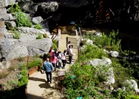 students with teacher walking on a path in a garden