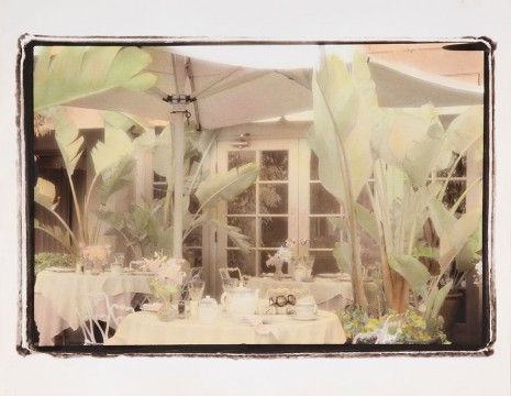 Patio With Palms, Sunset Marquis Hotel, Los Angeles, circa 1994