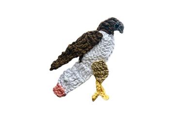 a crochet of a hawk