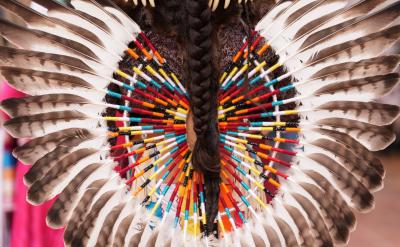 Feather head dress from behind