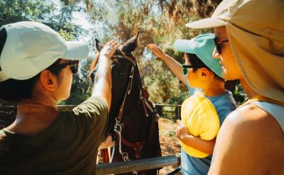 Three people, wearing caps and sunglasses, stand beside a horse, gently petting it. The scene is outdoors on a sunny day, with trees in the background. The individuals appear engaged and relaxed.