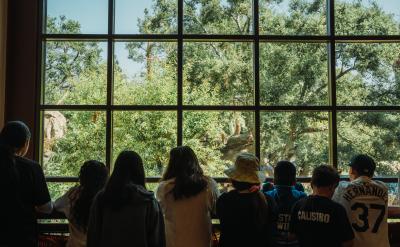 A group of people, mostly children, stand indoors facing a large window, looking out at tall green trees and bright daylight. Their backs are to the camera.