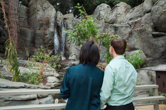 A man and a woman look at a small waterfall in a garden