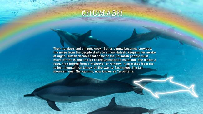 A group of dolphins swimming underwater beneath a rainbow. The text over the image talks about the Chumash people and Hutash, mentioning the movement from Limuw to the mainland. White dolphin outlines are visible on the right.