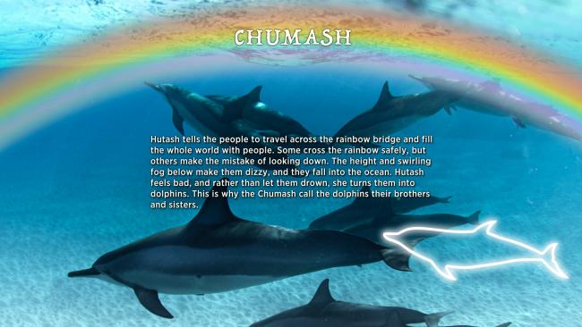 Underwater scene with several dolphins swimming beneath a rainbow. Text over the image narrates a Chumash story about crossing a rainbow bridge, where people who fall become dizzy and turn into dolphins, called brothers and sisters by the Chumash.