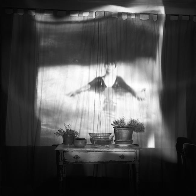 projection of the artist's grandmother's photograph onto a window curtain