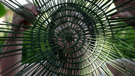 What is Traditional Ecological Knowledge?