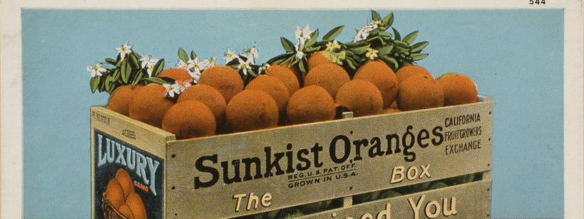 artwork of a crate of Sunkist brand oranges with orange blossoms