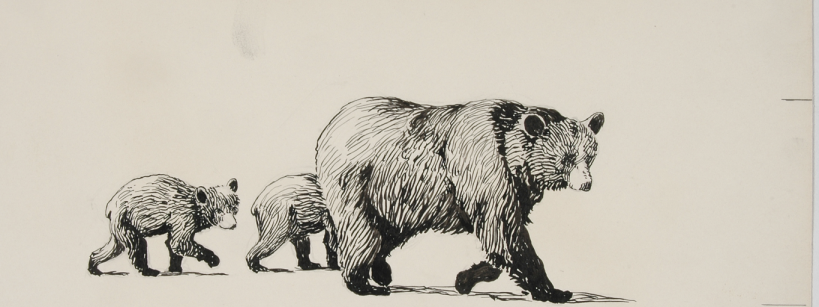 ink drawing of a bear followed by two bear cubs