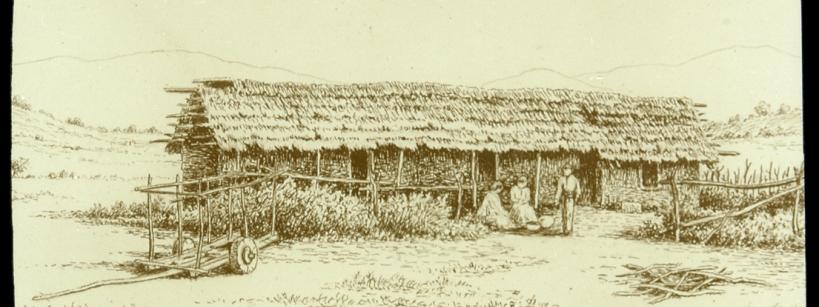 drawing of a grass hut