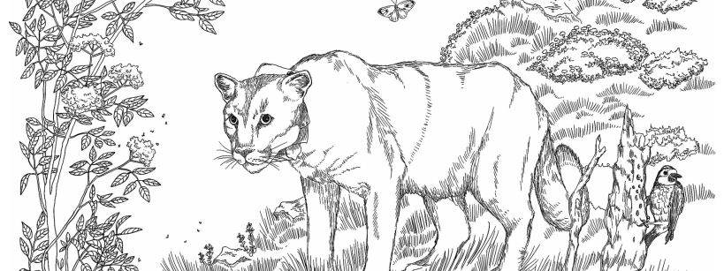 black and white line art of a mountain lion surrounded by foliage