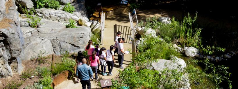 students with teacher walking on a path in a garden