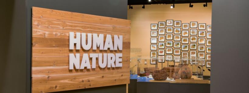 Entry way to human nature gallery