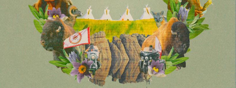 Poster for the film "Oyate Woyaka" (The People Speak) by Bryant HighHorse Jr. and George McAuliffe. The poster features a circular collage of images, including flowers, native peoples, and tipis, set against a muted green background with white text.
