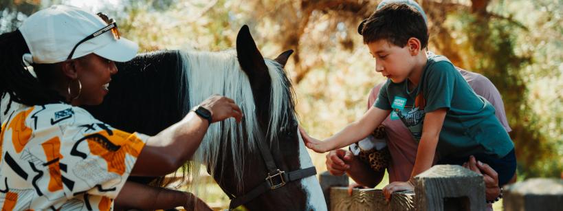 A woman in a patterned shirt and cap helps a young boy pet a horse over a wooden fence. The scene is set outdoors with trees and sunlight in the background.