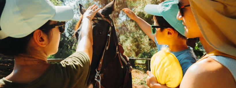 Three people, wearing caps and sunglasses, stand beside a horse, gently petting it. The scene is outdoors on a sunny day, with trees in the background. The individuals appear engaged and relaxed.