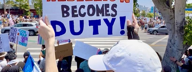A person in a white cap and mask holds a protest sign reading "When tyranny becomes law, rebellion becomes duty" in bold, colorful letters at a rally with a crowd under a sunny sky.