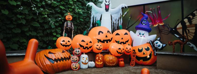 A group of inflatable Halloween decorations, mostly orange pumpkins with carved faces, a large white ghost, and a witch, are arranged outdoors near a wall covered in green vines.